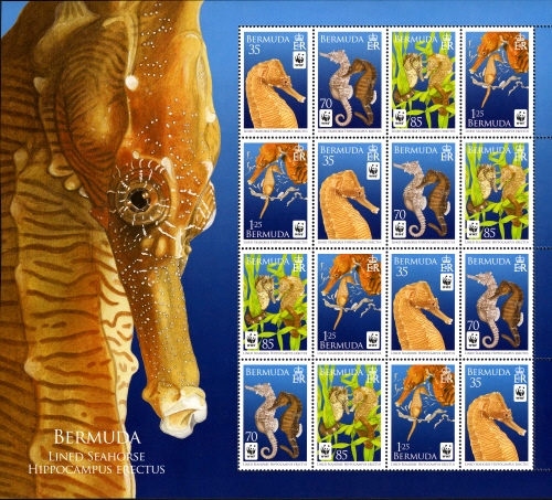 Souvenir Sheet