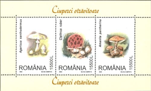Souvenir Sheet