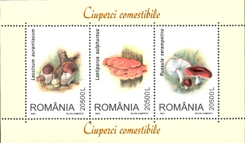 Souvenir Sheet