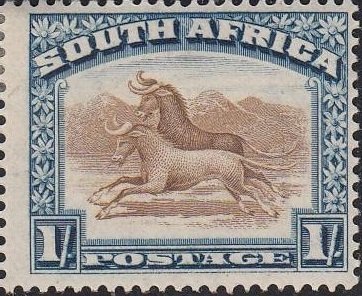 Wildebeest (Connochaetes sp.)