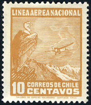 Andean Condor (Vultur gryphus), Airplane over Landscape