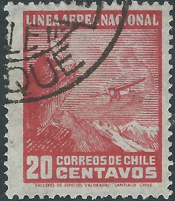 Andean Condor (Vultur gryphus), Airplane over Landscape