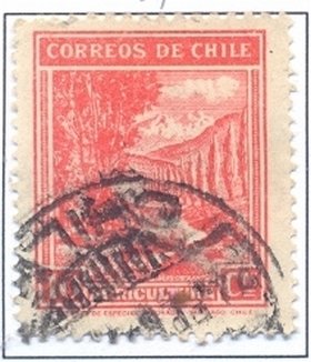 Country motifs