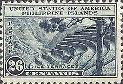 Rice terraces