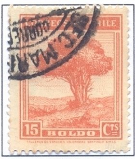 Country motifs