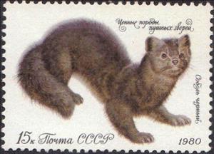 Stamp, Sable (Martes zibellina), Soviet Union, USSR,  , Mammals, Animals (Fauna)