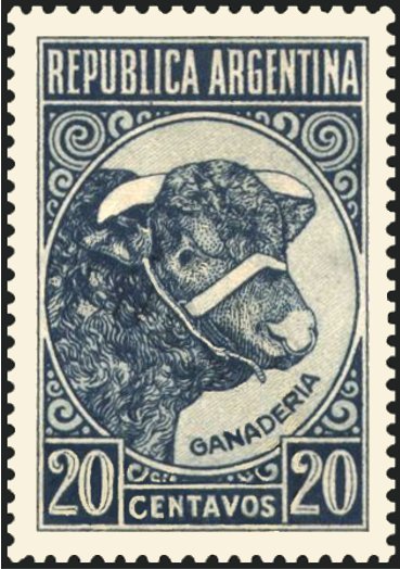 Bull (cattle breeding), large size