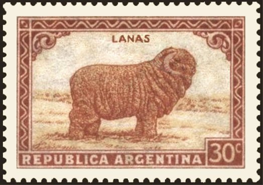 Merino sheep (wool)