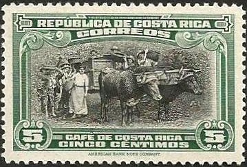 Coffee harvesting