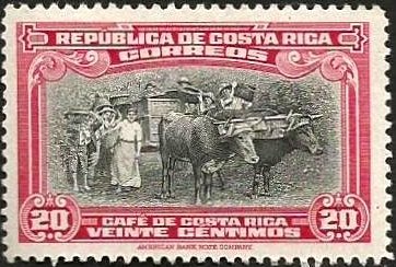 Coffee harvesting