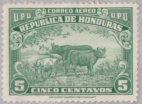 Cattle Herd (Bos primigenius taurus)