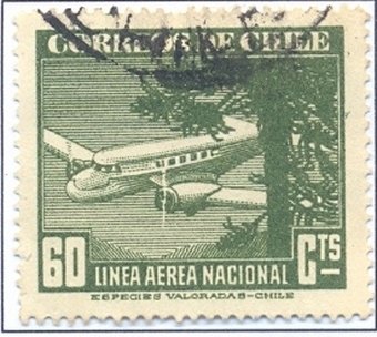 Plane and Tree