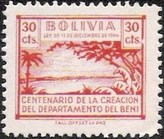 Palm trees