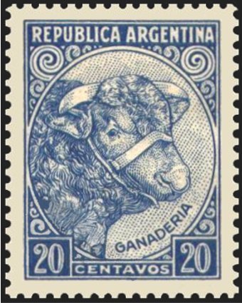 Bull (cattle breeding)