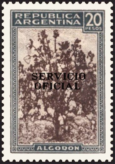 Cotton, ovpt.