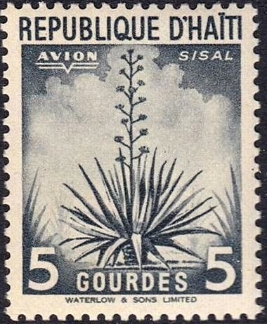 Sisal