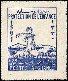 Kohistani Boy and Sheep