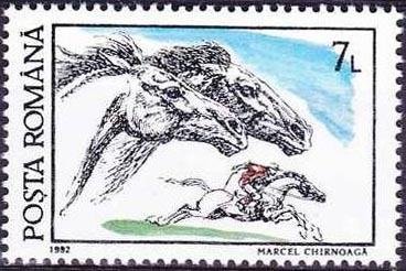 Horse (Equus ferus caballus)