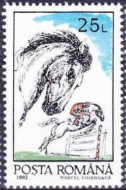 Horse (Equus ferus caballus)