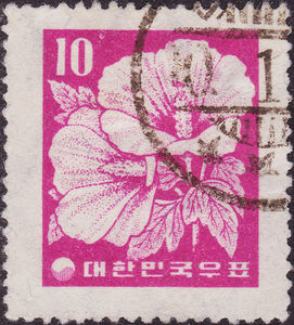 Hibiscus