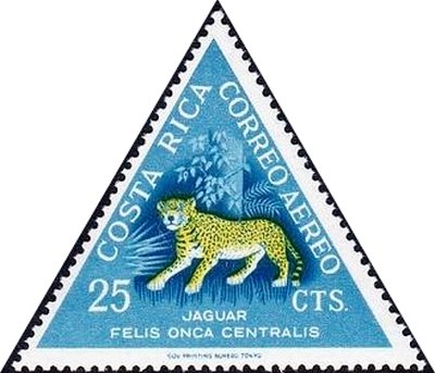 Jaguar (Panthera onca)