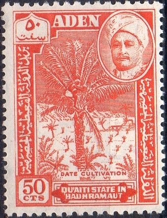 Date cultivation