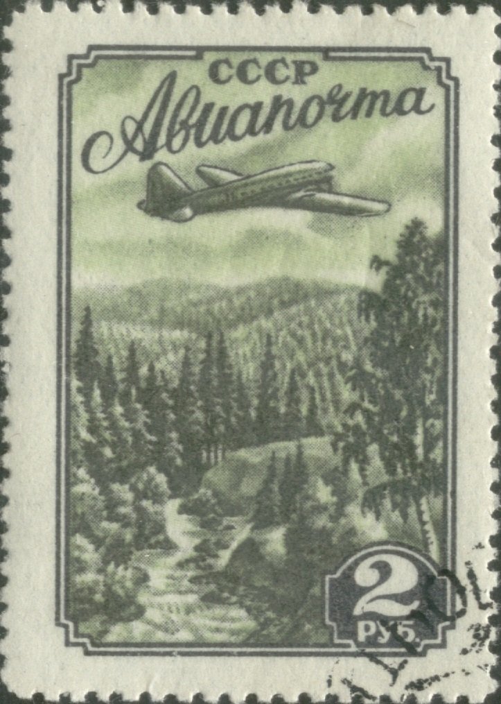 Aircraft over taiga