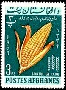 Corn