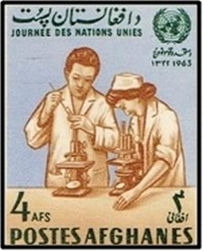 Doctor and nurse