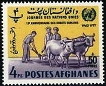 Plowing fields