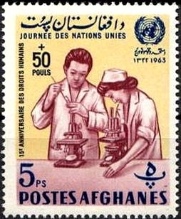 Doctor and nurse