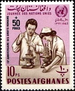 Doctor and nurse