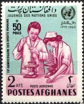 Doctor and nurse