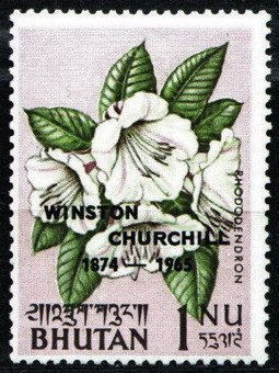 Stamp, Rhododendron, Bhutan,  , Flowers