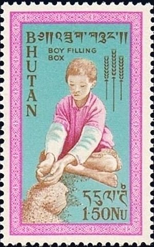 Boy filling grain box