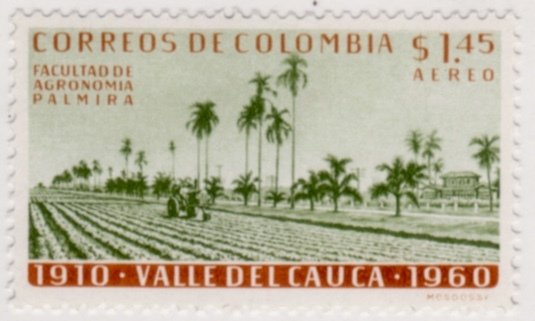 Agricultural College, Palmira