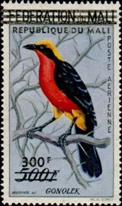 Stamp, Yellow-crowned Gonolek (Laniarius barbarus), Mali,  , Birds, Animals (Fauna)