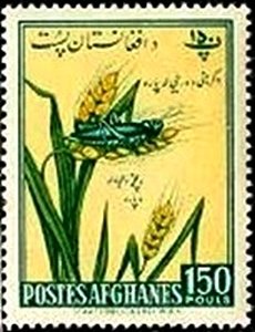 Stamp, Grain, Grasshopper (Orthoptera), Afghanistan,  , Insects, Animals (Fauna), Plants (Flora)