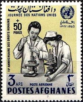 Doctor and nurse