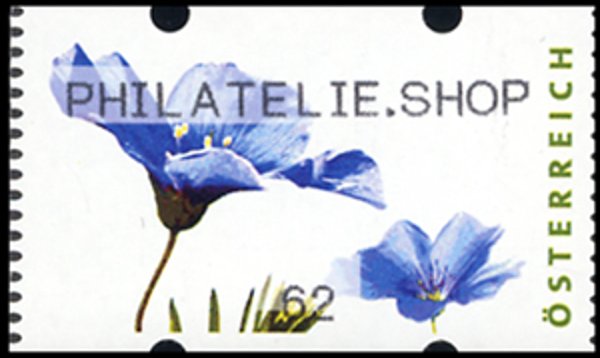 Linseed