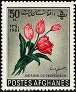 Tulips