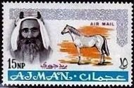 Sheik Rashid and Arabian Horse (Equus ferus caballus)