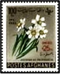 Stamp, Narcissus, Afghanistan,  , Flowers, Plants (Flora)