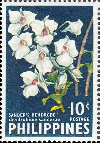 Sander´s dendrobe