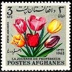 Tulips