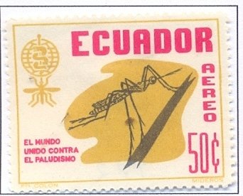 Anopheles mosquito, WHO characters