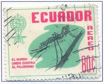 Anopheles mosquito, WHO characters