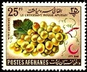 Stamp, Vitis vinifera, Afghanistan,  , Fruits