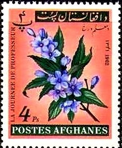 Stamp, Blossom, Afghanistan,  , Flowers, Plants (Flora)