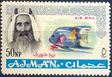 Sheik Rashid and Queen Angelfish (Holacanthus ciliaris)